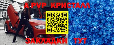 jwh Кингисепп