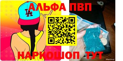 jwh Кингисепп