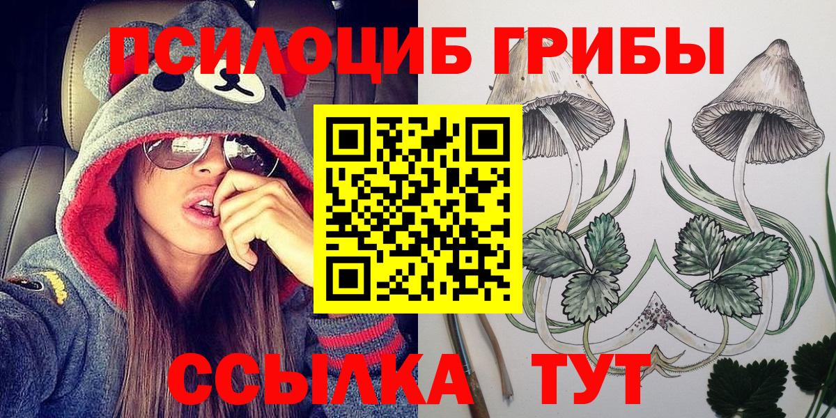 Королёв  Галлюциногенные грибы Cubensis  Вход с VPN 