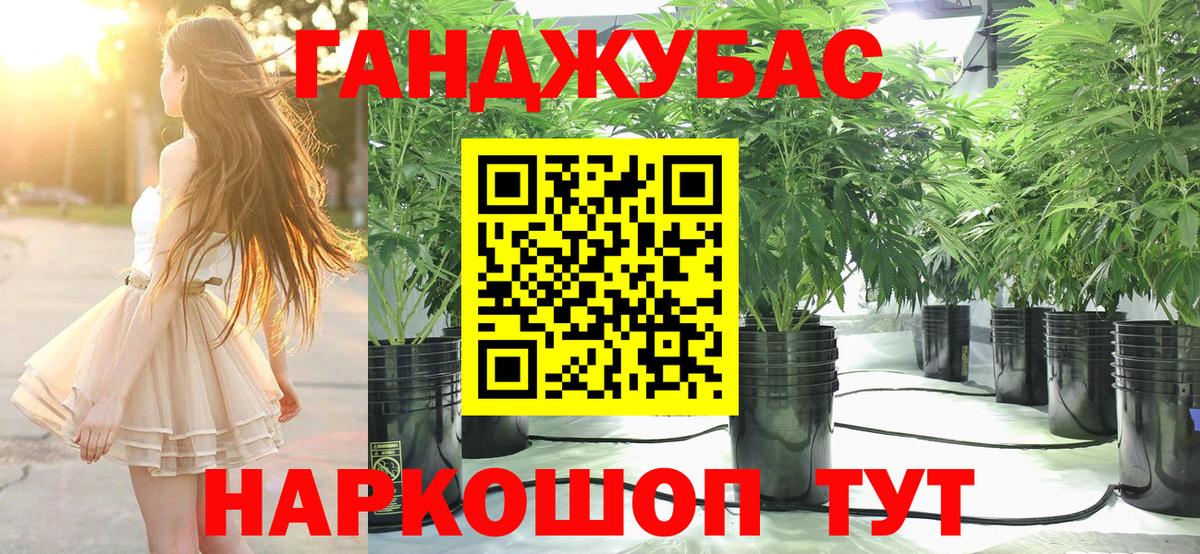 Королёв  Канабис Amnesia  Вход с VPN  Бошки марихуана индика 